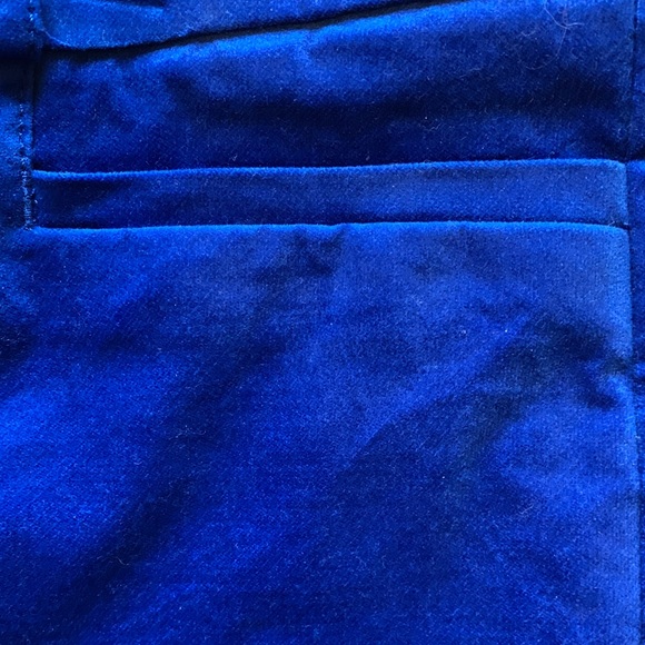 Beautiful rich blue velvet skinny pant - Picture 4 of 5